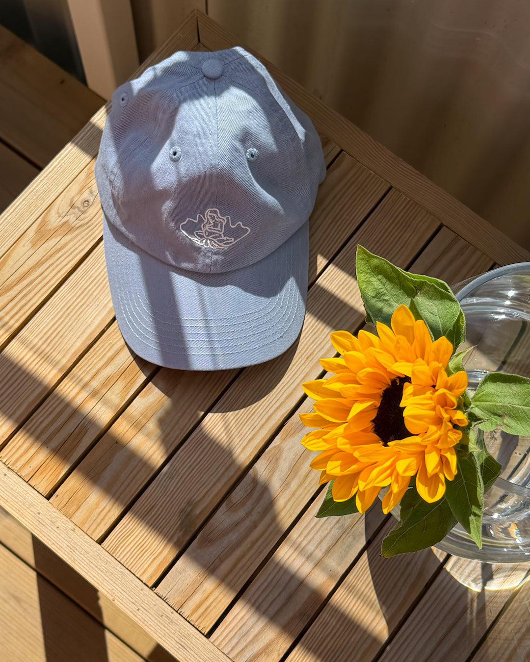 Fiona Logo Caps - Blue